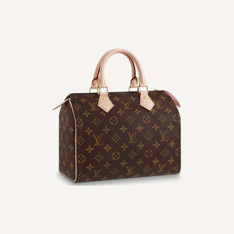 LOUIS VUITTON スピーディ 25 Ref:M41109