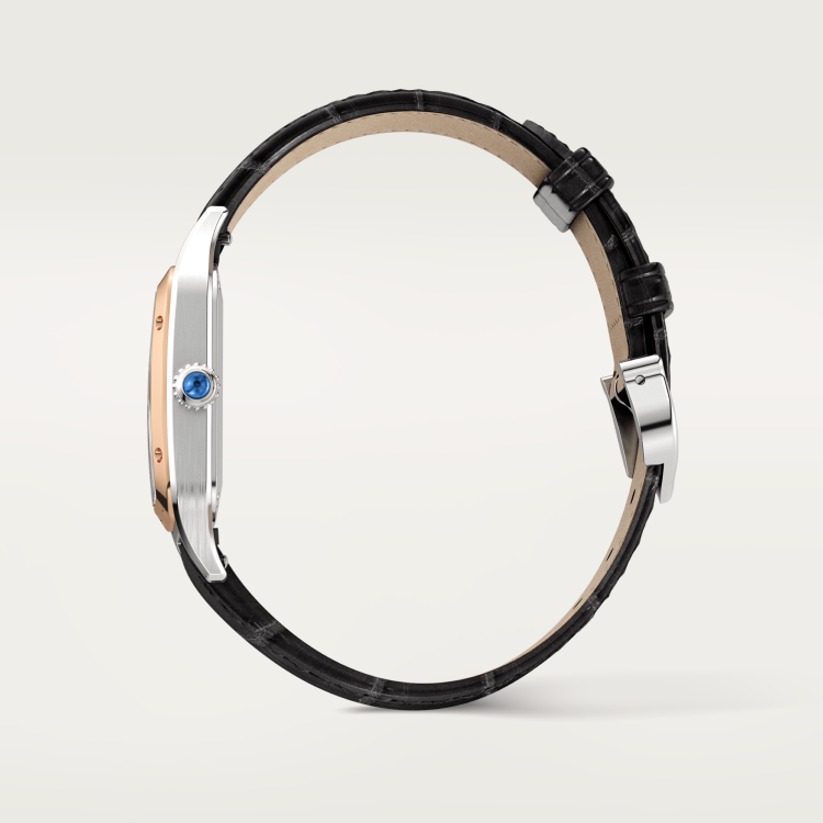 Cartier  カルティエサンダーズシリーズW2SA0011(ビッグサイズ)腕時計です