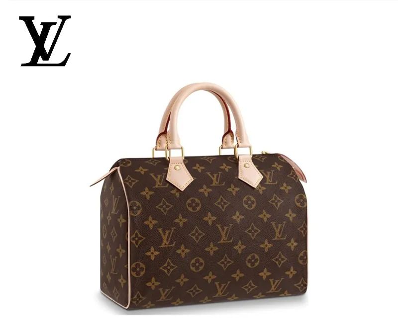 LOUIS VUITTON スピーディ 25 Ref:M41109