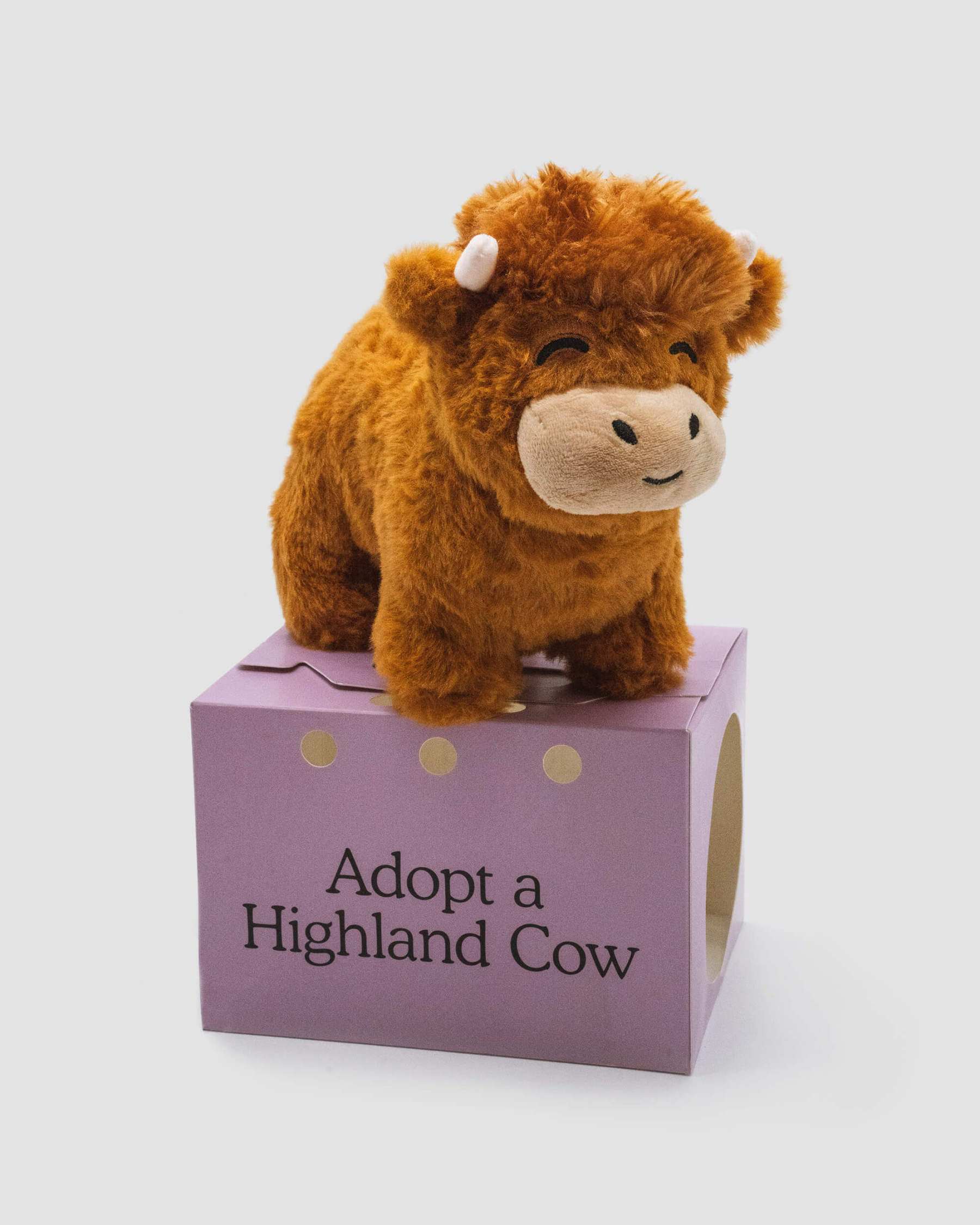 👍Scottish Handmade Highland Cattle