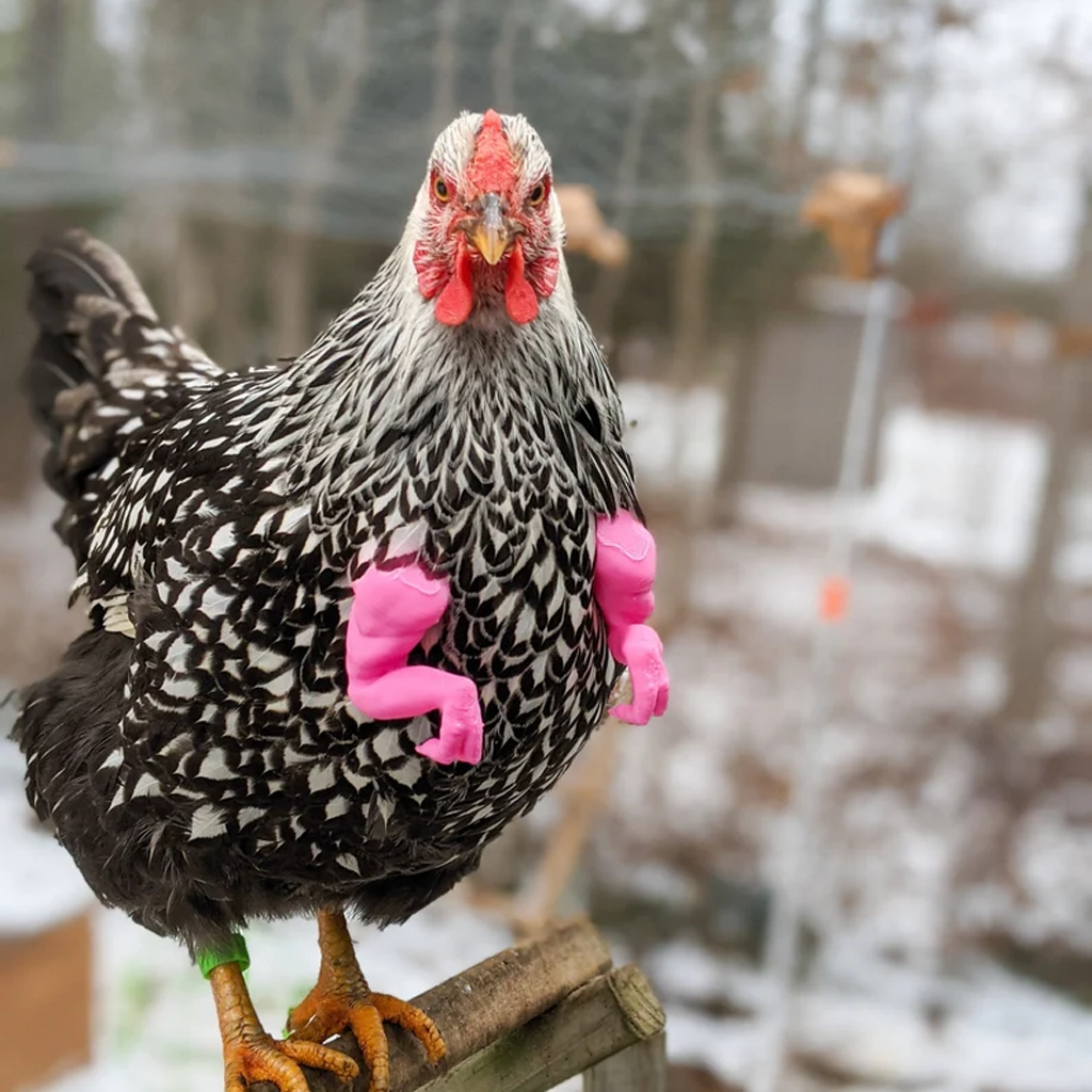 🔥HOT SALE - 49% OFF🔥FUN Chicken Arms