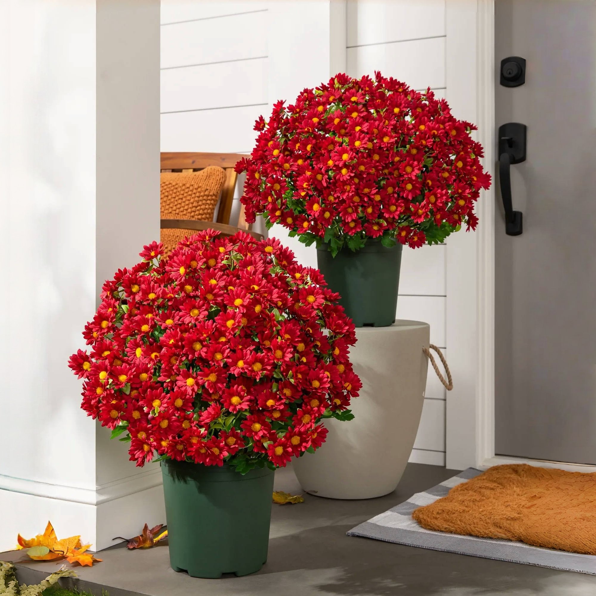 🔥HOT SALE - 49% OFF🔥Artificial Outdoor Sunset Mums Flowers - UV resistant, Waterproof, Windproof