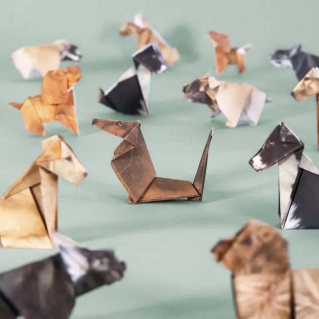 🔥HOT SALE - 49% OFF🔥- DIY Paper Cats