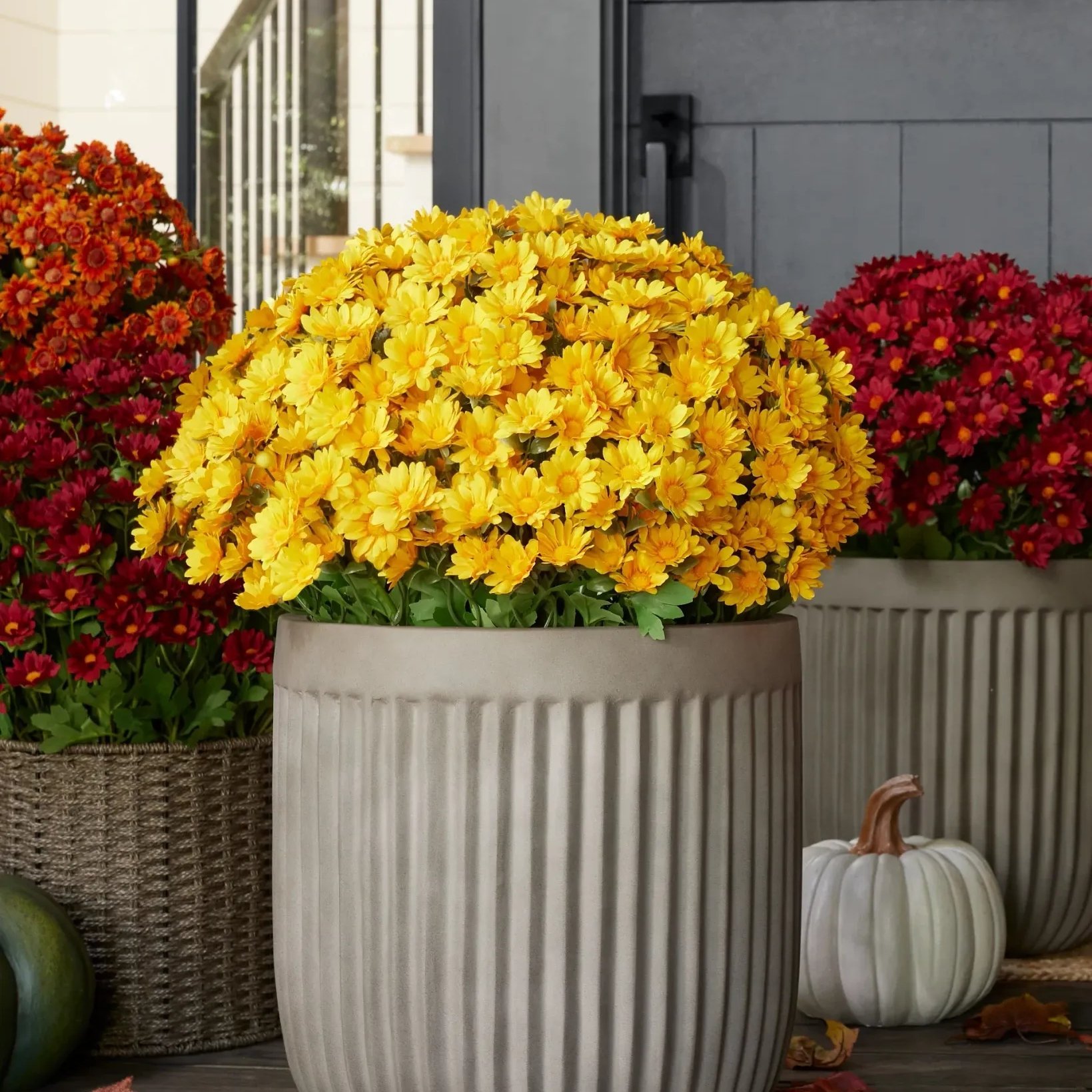 🔥HOT SALE - 49% OFF🔥Artificial Outdoor Sunset Mums Flowers - UV resistant, Waterproof, Windproof
