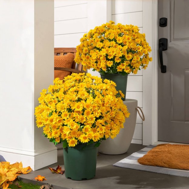 🔥HOT SALE - 49% OFF🔥Artificial Outdoor Sunset Mums Flowers - UV resistant, Waterproof, Windproof