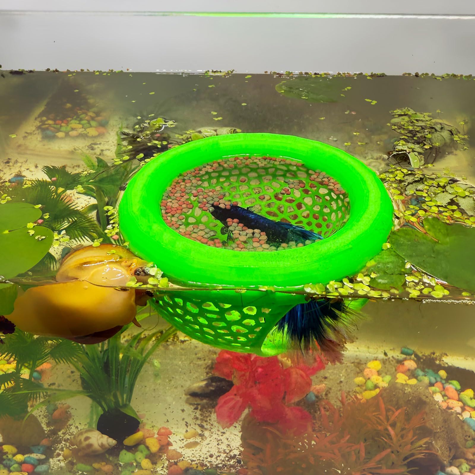 🔥HOT SALE - 49% OFF🔥Floating Fish Lounge, Aquarium Hidden Feeding Decorative Accessory