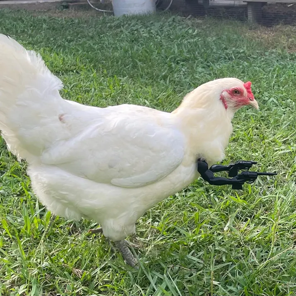 🔥HOT SALE - 49% OFF🔥FUN Chicken Arms