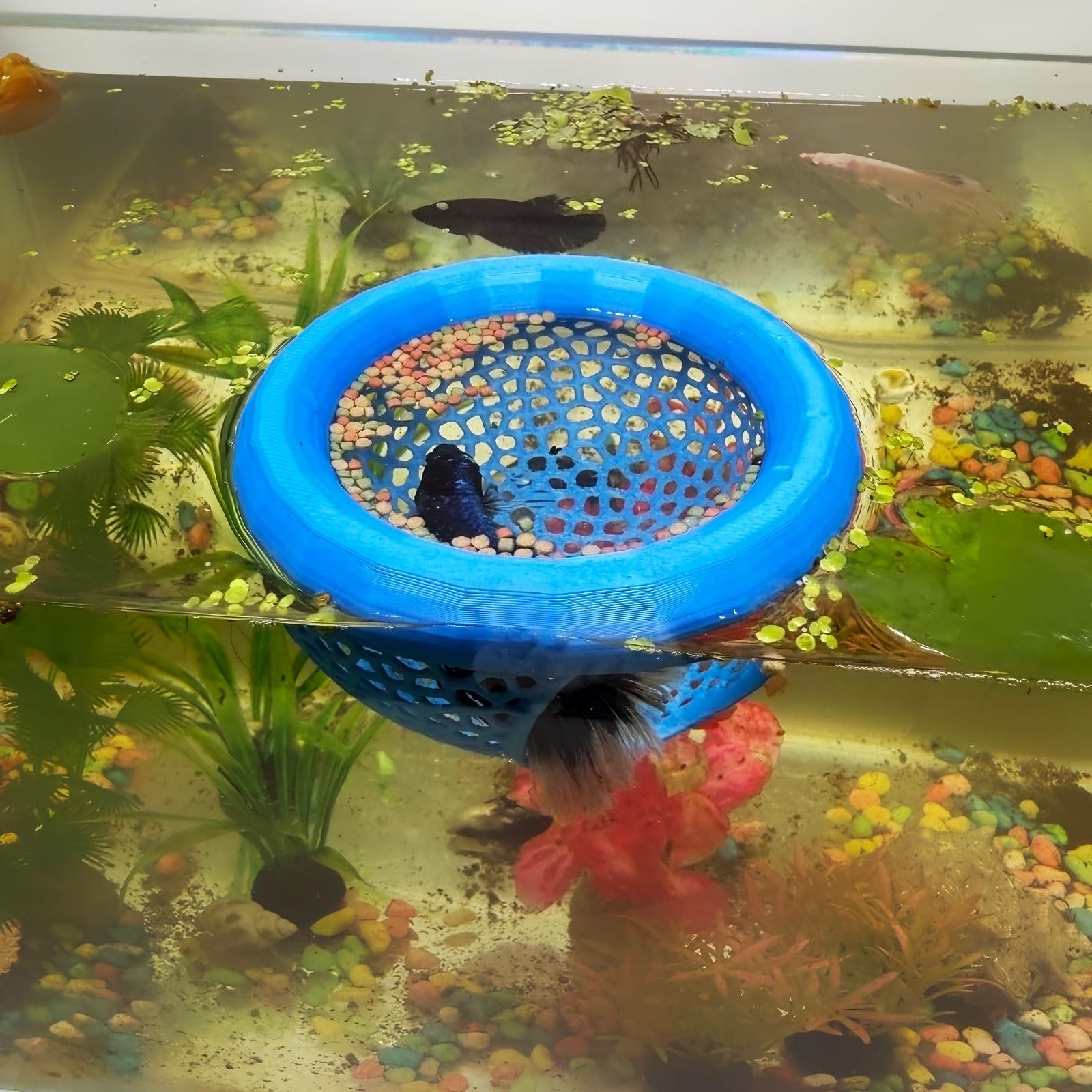 🔥HOT SALE - 49% OFF🔥Floating Fish Lounge, Aquarium Hidden Feeding Decorative Accessory
