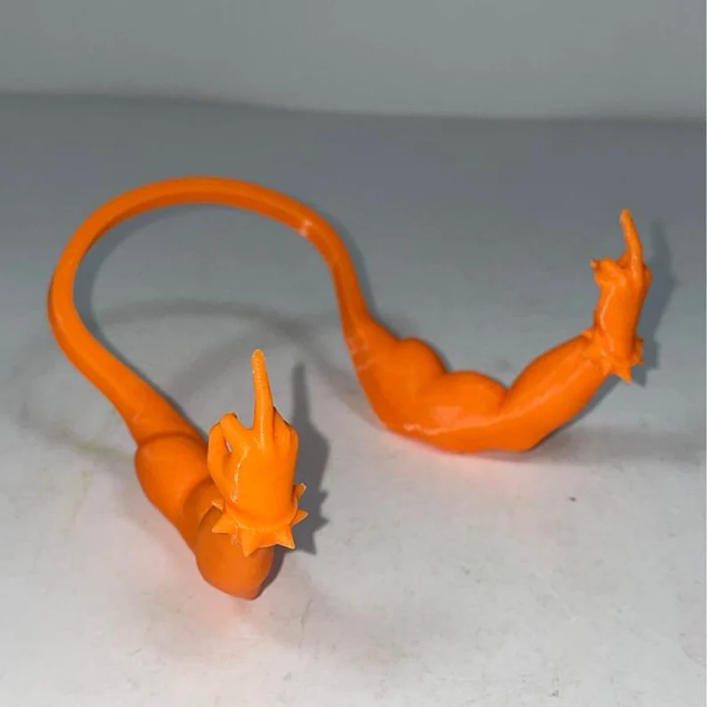 🔥HOT SALE - 49% OFF🔥FUN Chicken Arms