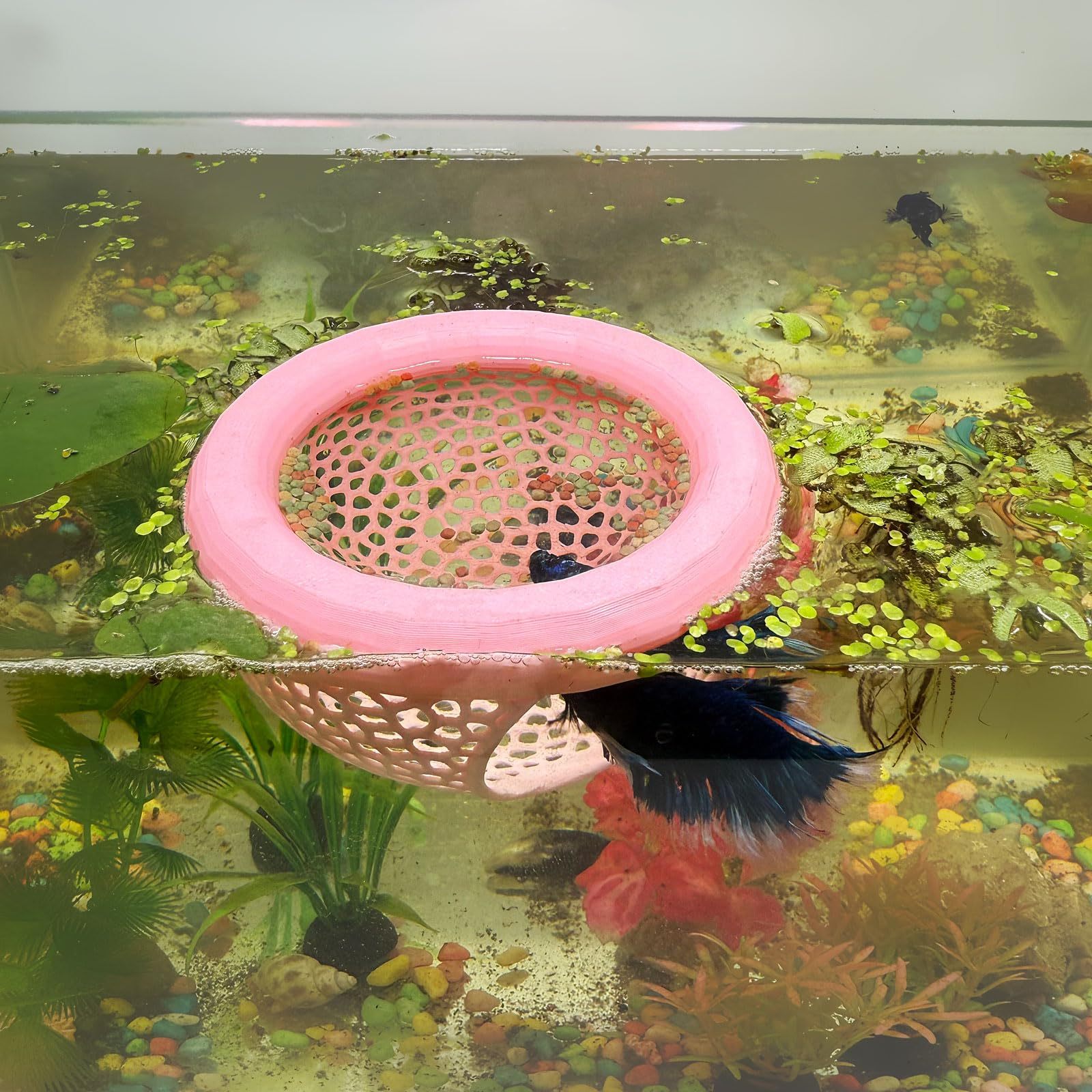 🔥HOT SALE - 49% OFF🔥Floating Fish Lounge, Aquarium Hidden Feeding Decorative Accessory