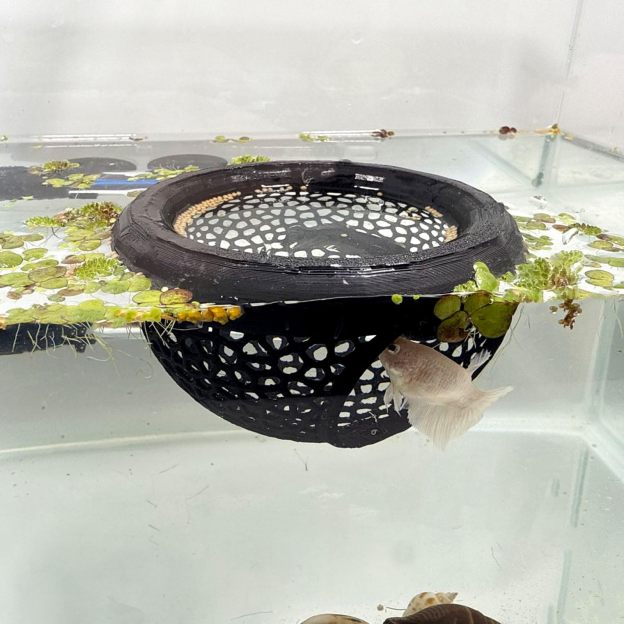 🔥HOT SALE - 49% OFF🔥Floating Fish Lounge, Aquarium Hidden Feeding Decorative Accessory