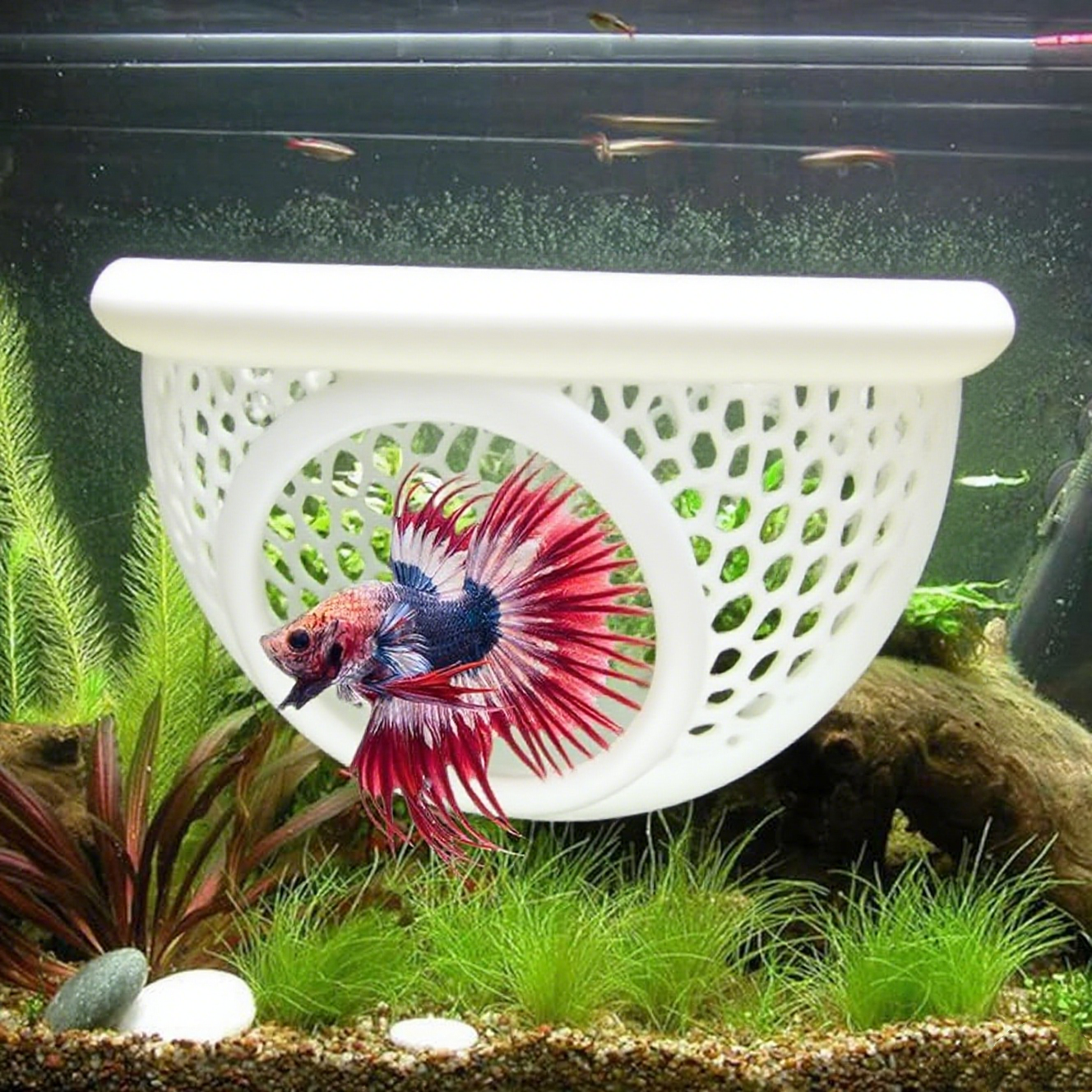 🔥HOT SALE - 49% OFF🔥Floating Fish Lounge, Aquarium Hidden Feeding Decorative Accessory