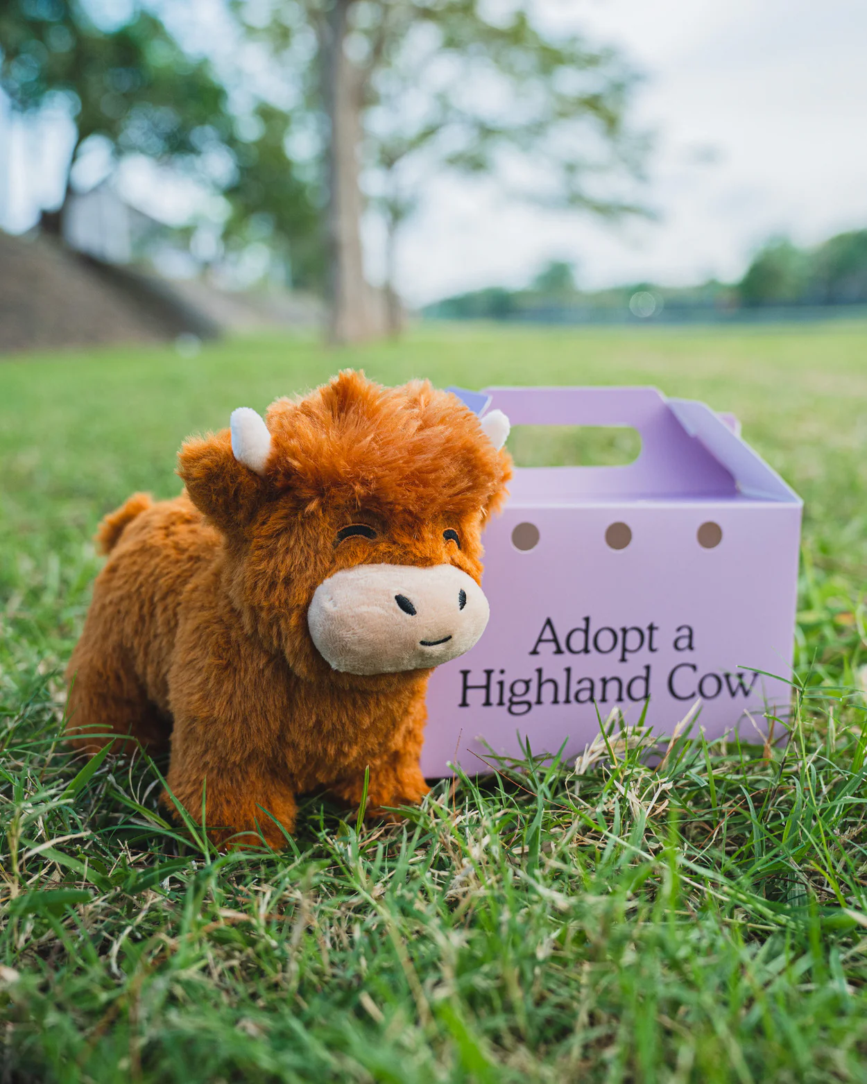 👍Scottish Handmade Highland Cattle