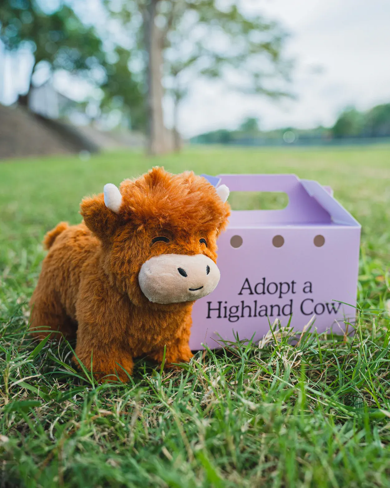 👍Scottish Handmade Highland Cattle