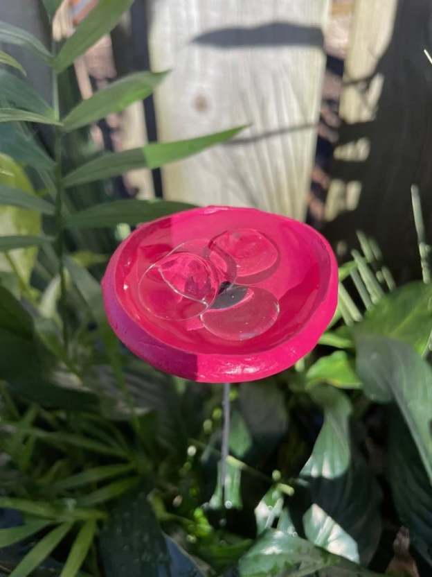 🎖️July 4th Flash Sale: 49% OFF Sitewide! 🐝Bee Watering Station,🦋Butterfly Puddler,Hummingbird Drinking Cups