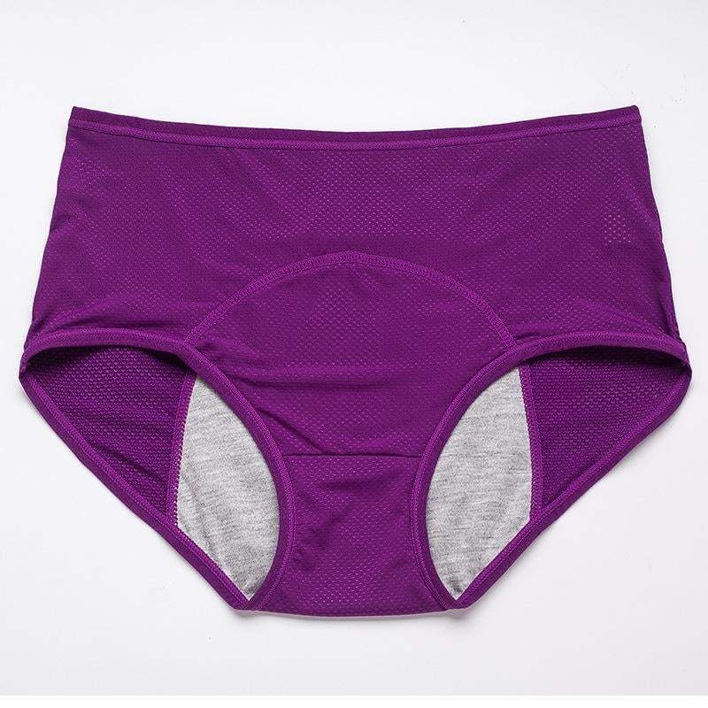 Leak-proof Protective Panties