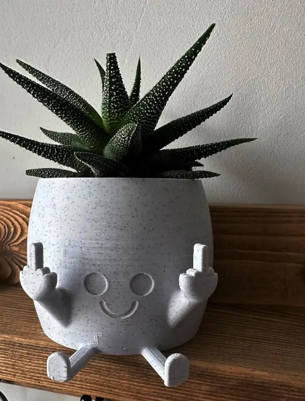 🤣Smiling Plant Pot with Middle Fingers Up