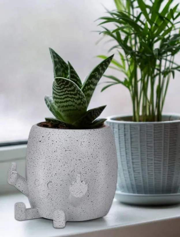 🤣Smiling Plant Pot with Middle Fingers Up
