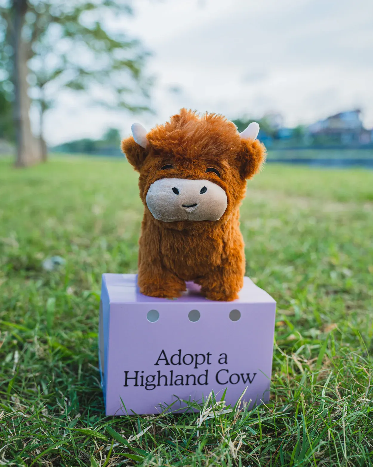 👍Scottish Handmade Highland Cattle
