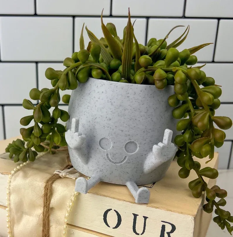 🤣Smiling Plant Pot with Middle Fingers Up