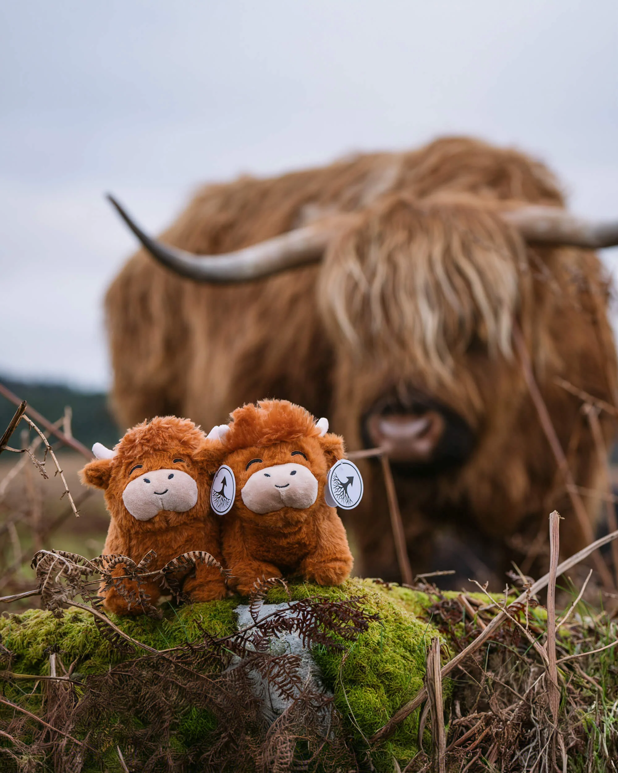 👍Scottish Handmade Highland Cattle