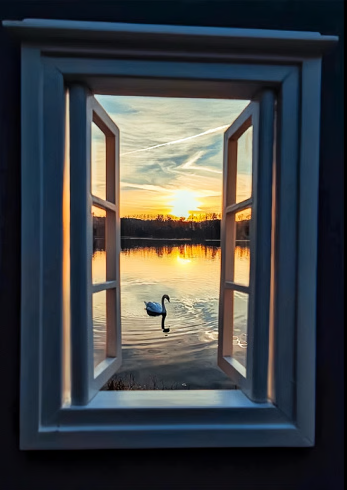 🔥LAST DAY 50% OFF -🖼️Creative window props📷