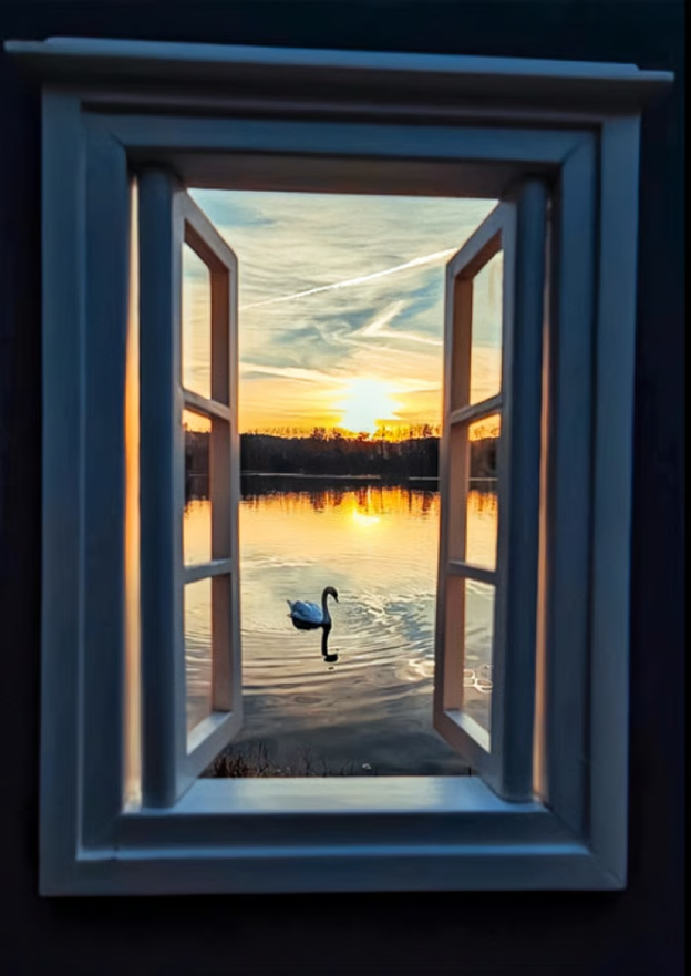 🔥LAST DAY 50% OFF -🖼️Creative window props📷