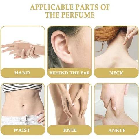 💋Amber Oud - Long-lasting Perfume for Women and Men