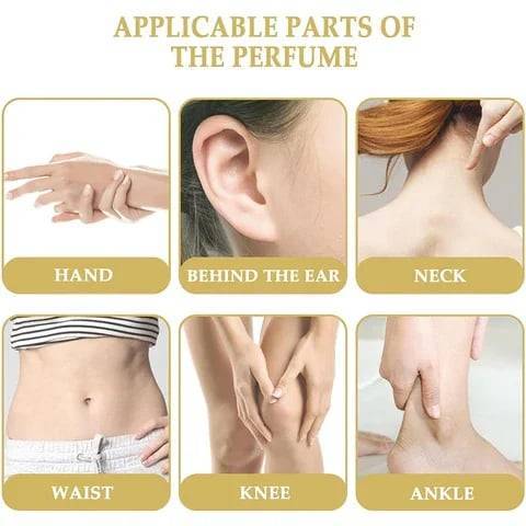 💋Amber Oud - Long-lasting Perfume for Women and Men