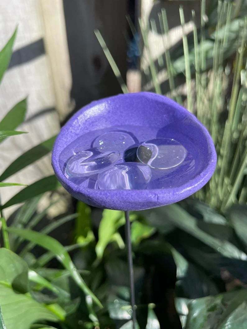 🎖️July 4th Flash Sale: 49% OFF Sitewide! 🐝Bee Watering Station,🦋Butterfly Puddler,Hummingbird Drinking Cups