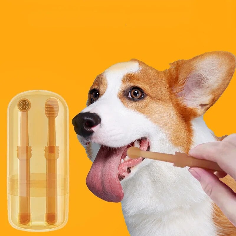 Pet Toothbrush(2pcs) with toothpaste