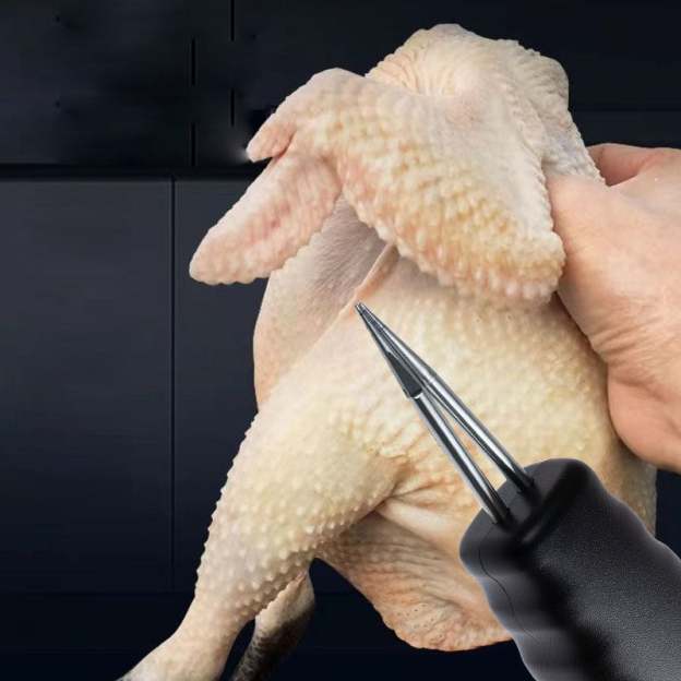 🔥49% OFF - Plug-in Electric Quick Chicken Plucker