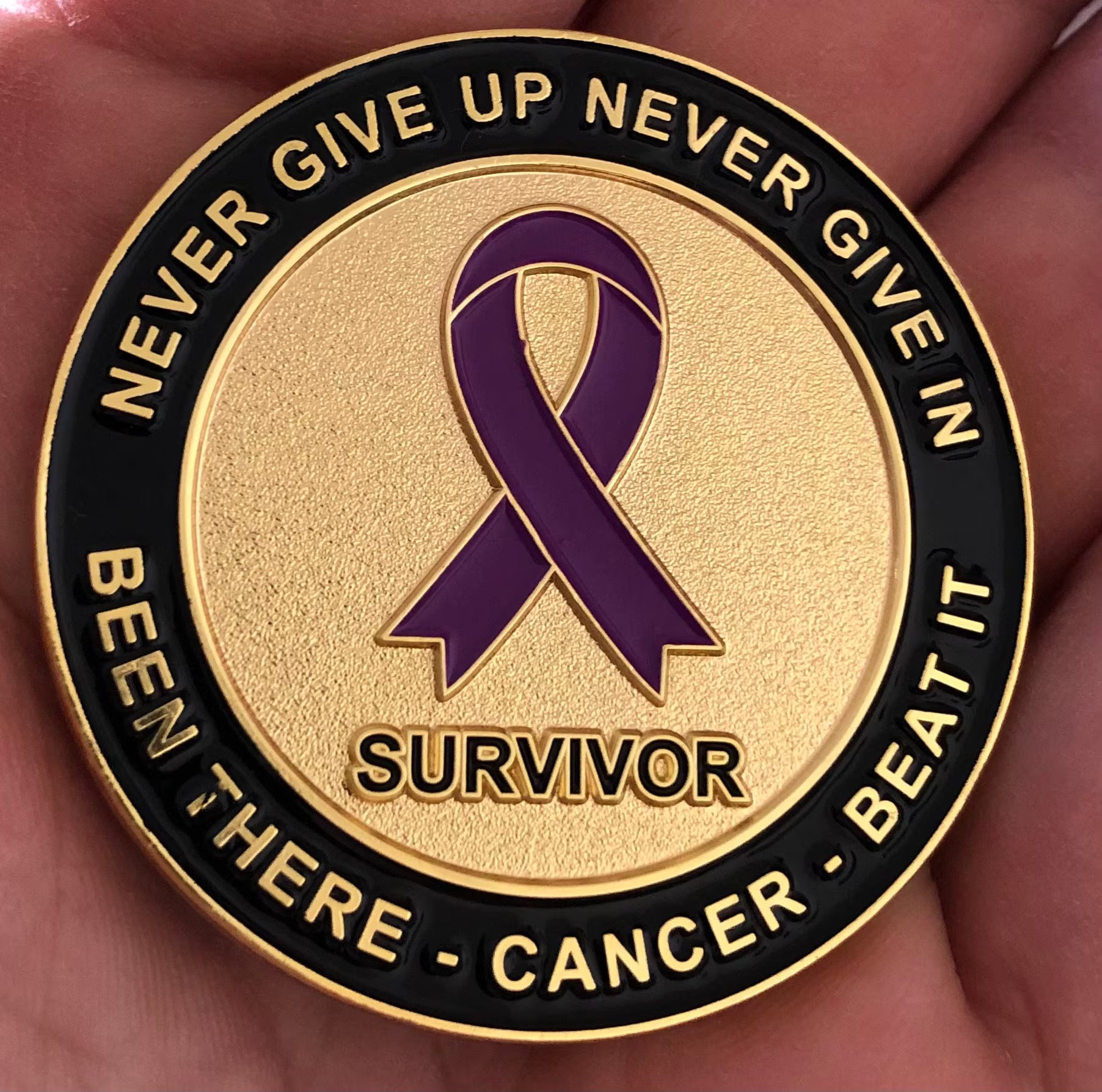 🔥HOT SALE - 49% OFF🔥Cancer Survivor Embroidered Hat – "Never Give Up" Purple Ribbon Hat