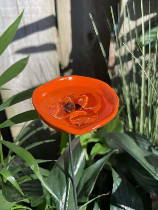 🎖️July 4th Flash Sale: 49% OFF Sitewide! 🐝Bee Watering Station,🦋Butterfly Puddler,Hummingbird Drinking Cups