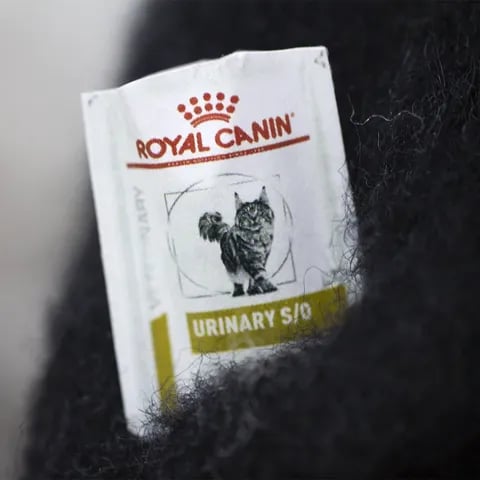 🔥LAST DAY 49% OFF- 🎄✨Wool Felt Familiars – Quirky Handmade Companions