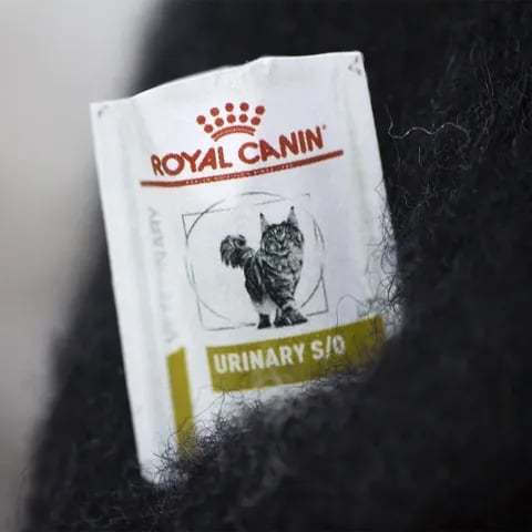 🔥LAST DAY 49% OFF- 🎄✨Wool Felt Familiars – Quirky Handmade Companions