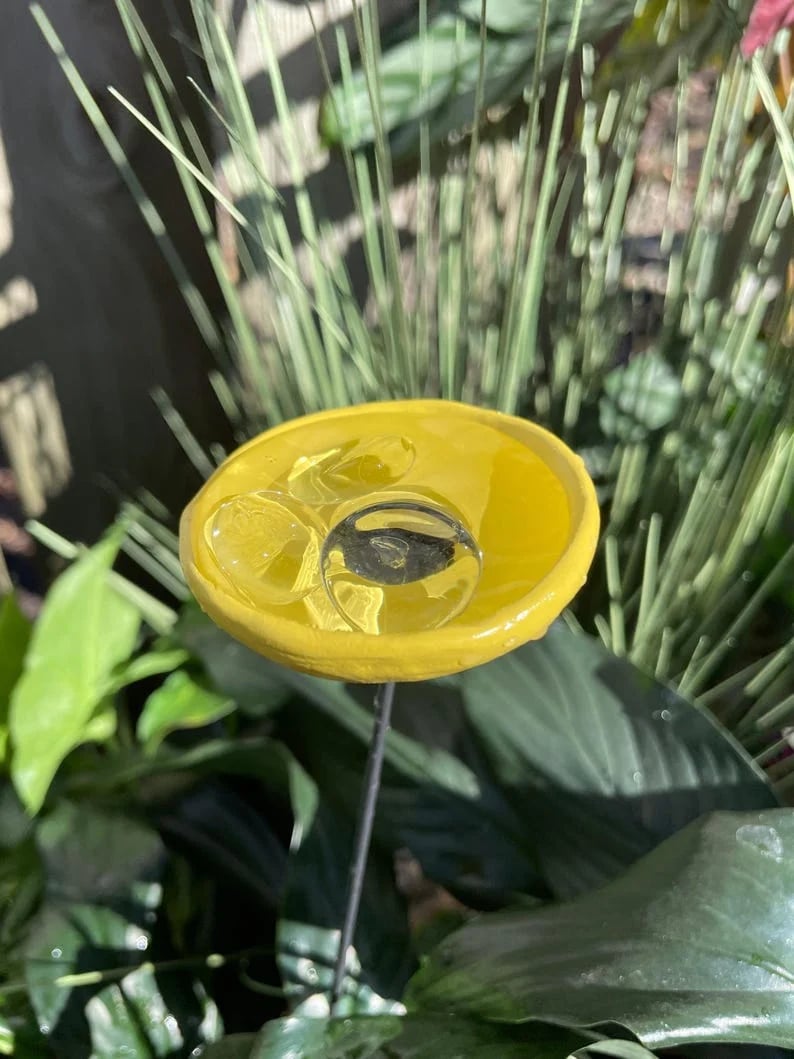 🎖️July 4th Flash Sale: 49% OFF Sitewide! 🐝Bee Watering Station,🦋Butterfly Puddler,Hummingbird Drinking Cups
