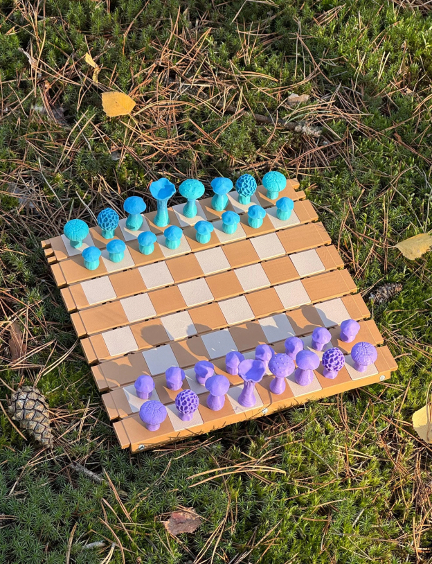 🍄 Magnetic Forest Mushrooms Chess ♟️