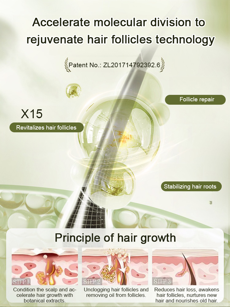 Hot Sale Ginger Plant Extract Anti-Hair Loss Hair Shampoo