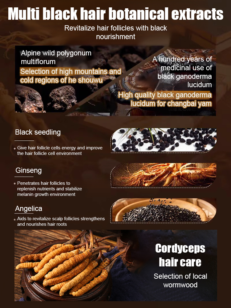 Cordyceps Oil-Control Shampoo [The More You Wash, The Darker Your Hair]