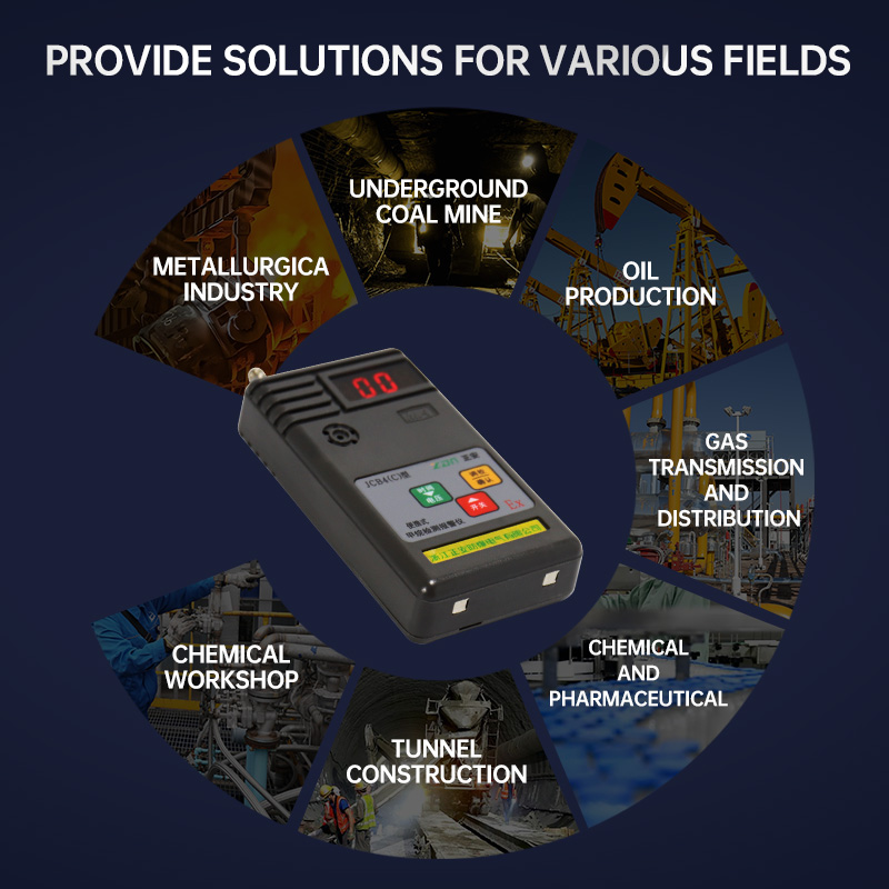 Portable methane detector  and alarm device