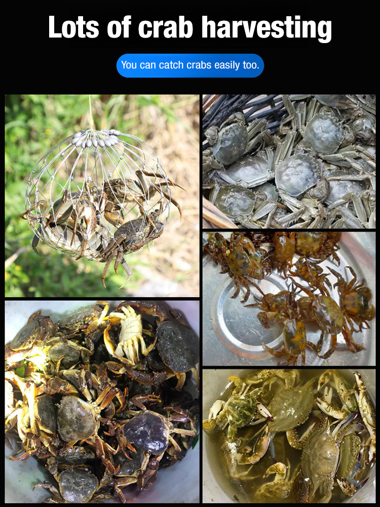 Automatic Opening Closing Fishing Net Cage