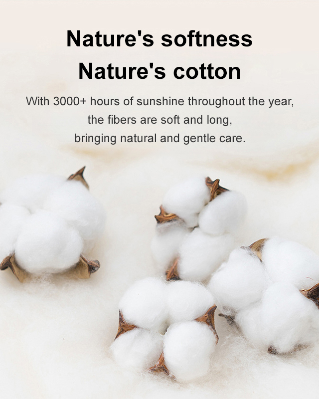 High-Waist Tummy Control Panty – Instant Body Shaper & Butt Lift – Seamless & Breathable Girdle para sa Perfect Curves