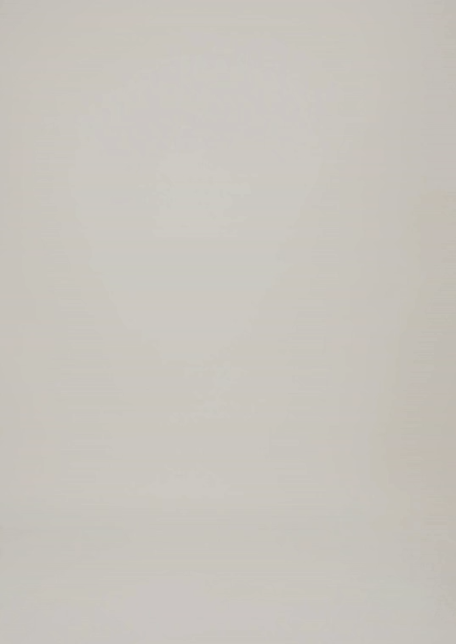 SIGNATURE SHIRT DRESS - LIGHT TAUPE