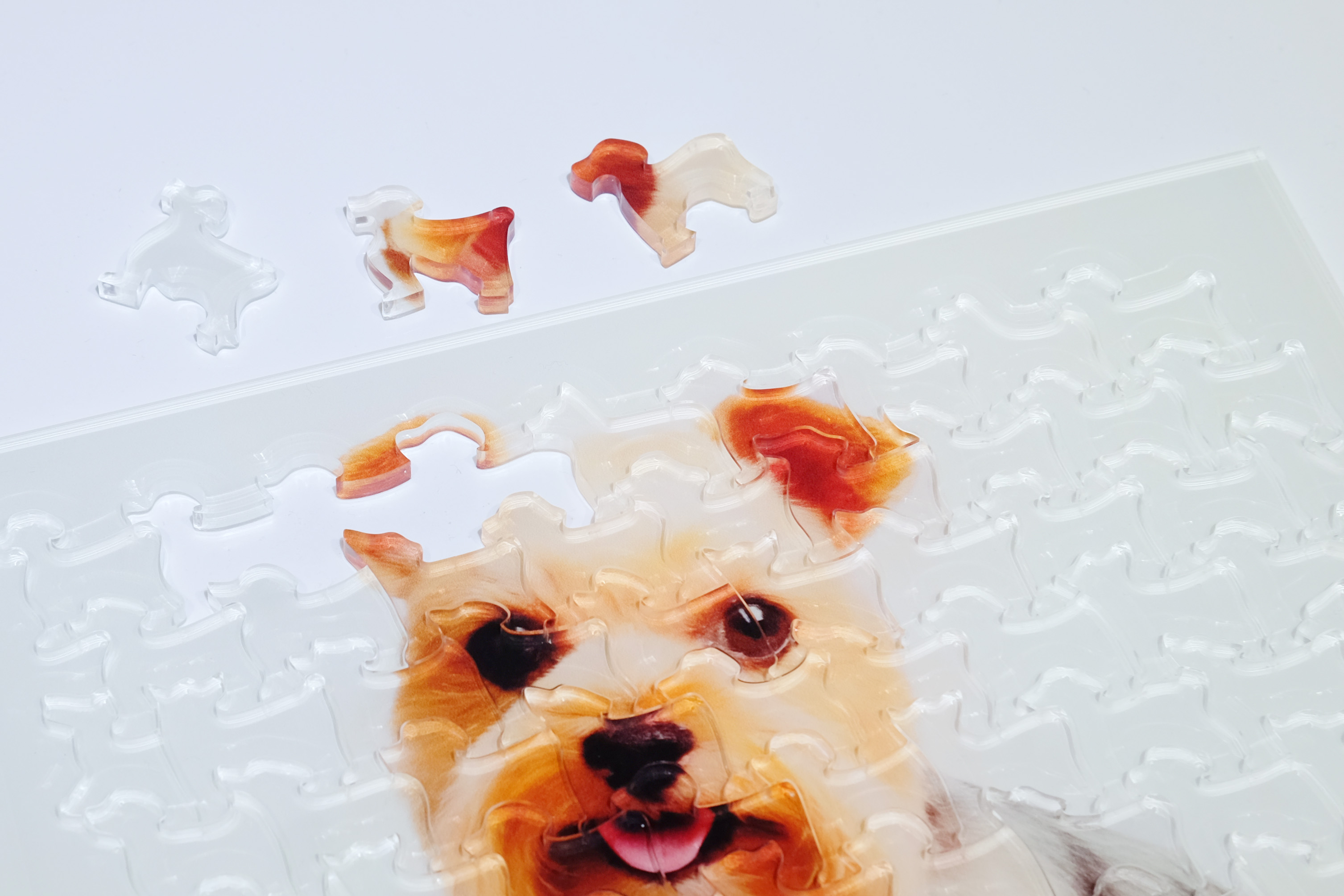 【3月11日~3月17日 Meetz STORE 新宿店 ポップアップ限定】Acrylic Art Puzzle 『My Dog』- アクリル犬型オリジナルパズル- 