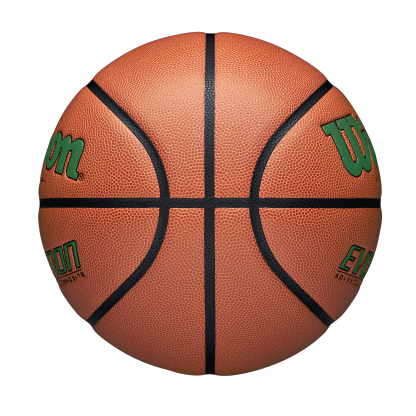 Wilson Evolution Game Ball Basketball