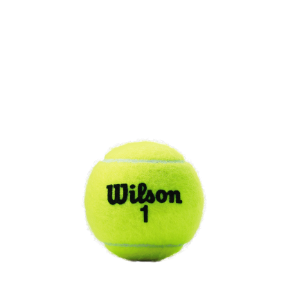 CHAMP XD TBALL 3 BALL CAN