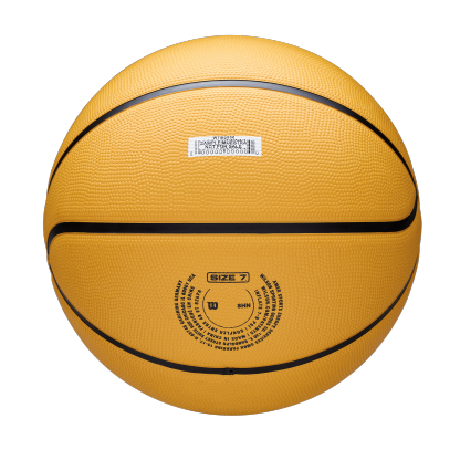 Wilson Gamebreaker Basketball Size 7