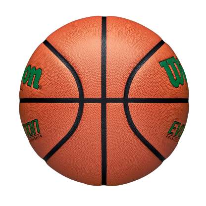 Wilson Evolution 295 Game Indoor Training Basketball