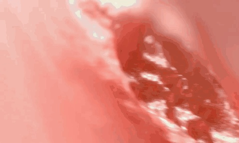 15-b8be8ed36c3fa4c6484244bc22b29e24.gif